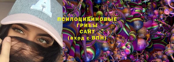 гидропоника Пересвет